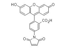 ɹ-5-R(li)