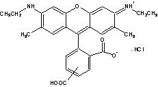 TAMRA|5(6)-_6G